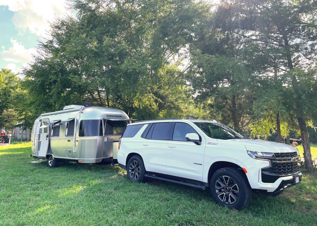 Misty Morning Ostrich Farm Robbins NC
